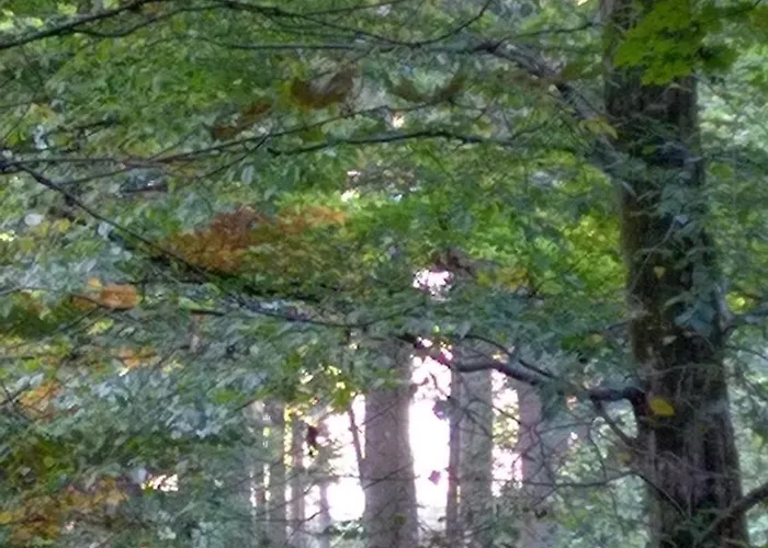 Kaalemhof Angelsen Διαμέρισμα *