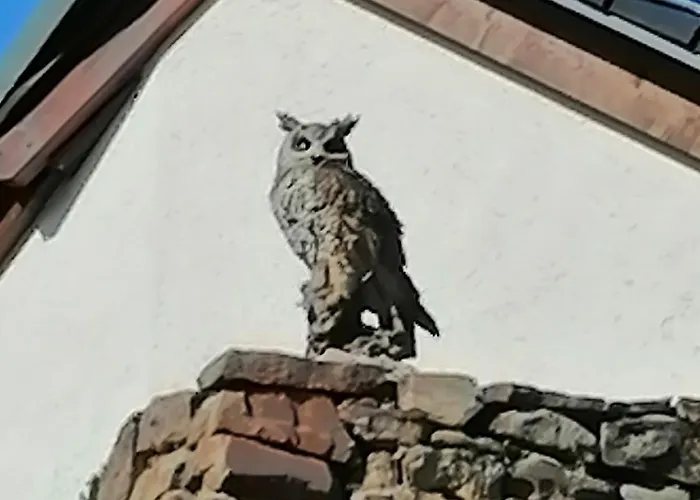 Kaalemhof Angelsen Birresborn